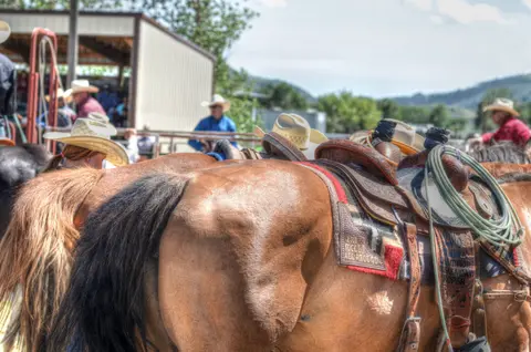 Saddled horses stand outdoors with people wearing cowboy hats in the background.
