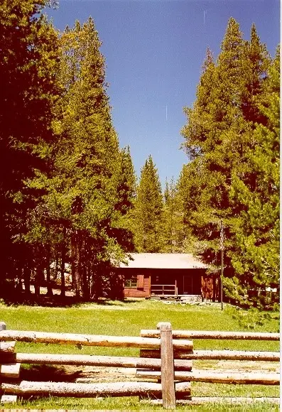 A wooden cabin surrounded by tall trees behind a rustic log fence.