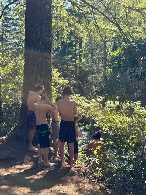A group of young men stand near a large tree in a forest.
