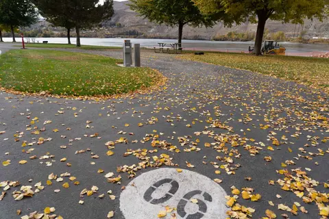 A paved path covered in autumn leaves leads toward a river and distant hills.