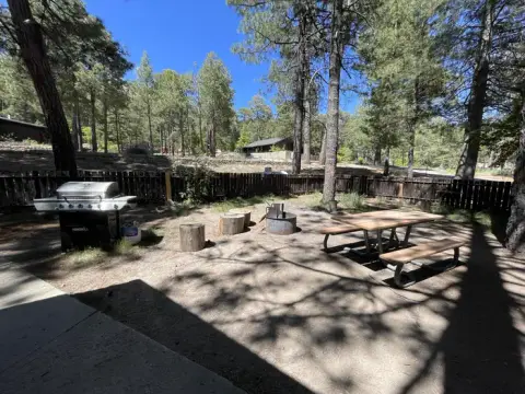 A picnic table, grill, and fire pit in a wooded area.