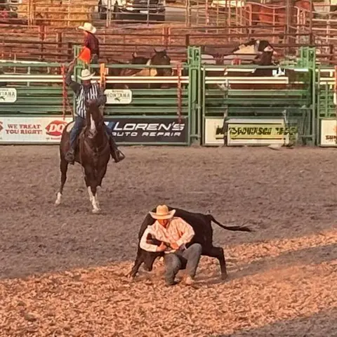 Rodeo action, Northwest Montana Fair.