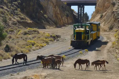 A small train travels along tracks passing through a canyon where horses are grazing.
