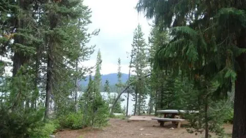 A picnic table sits in a forest clearing near a lake.