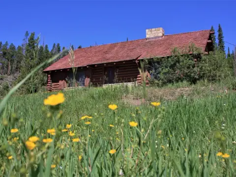 A log cabin sits on a grassy hill with wildflowers under a clear blue sky.