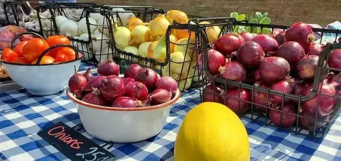 A colorful display of fresh onions, tomatoes, and other produce on a checkered tablecloth.