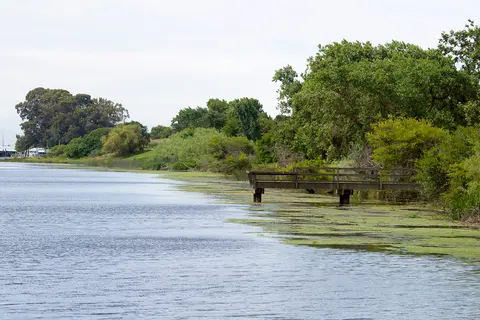 A wooden pier extends into a calm river bordered by green trees and foliage.