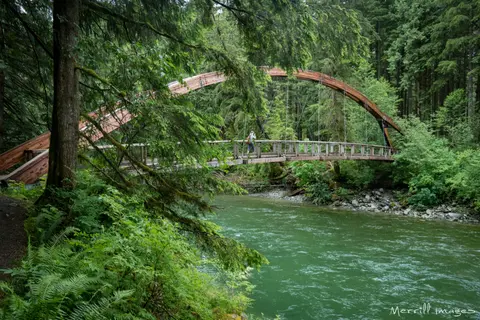 A wooden arch bridge crosses a river surrounded by a lush forest.