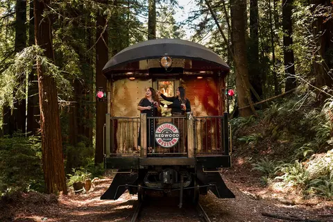 Two women ride on the back platform of a train traveling through a redwood forest.