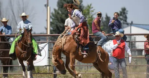 A rider stays on a bucking horse at a rodeo.