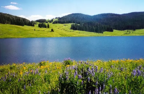A scenic view of a calm blue lake with a lush green meadow, pine trees, and wildflowers in the foreground.