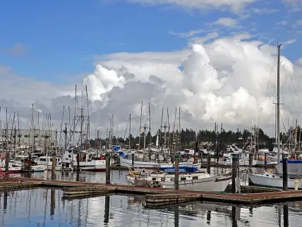 A marina with many docked boats under a cloudy sky.
