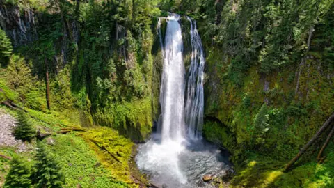 A waterfall flowing through a lush green forest.
