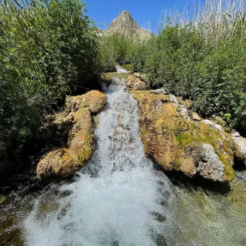 A small waterfall flows over mossy rocks surrounded by lush vegetation and a mountain peak in the background.