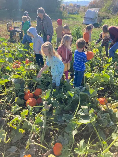 A group of children and adults exploring a pumpkin patch.