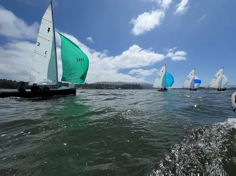 Several sailboats race across a body of water under a partly cloudy sky.
