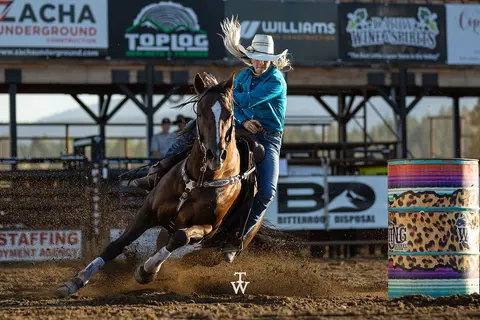 A rider on a horse racing past a barrel at a rodeo arena.