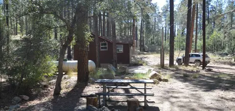 A cabin nestled in a forest with a picnic table in the foreground.