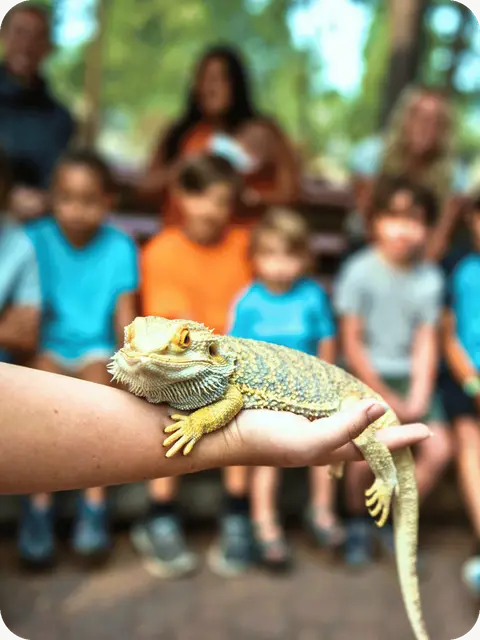 A person holds a bearded dragon with a group of people blurred in the background.