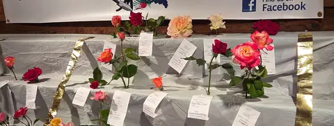 A display of roses at a flower show with entry tags.