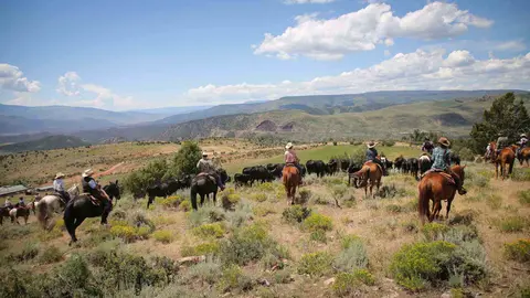 A group of people riding horses herding cattle in a landscape.