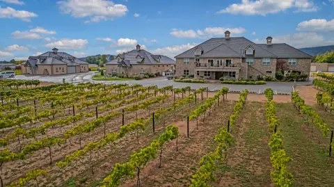 A vineyard with rows of grapevines and large buildings in the background under a blue sky with clouds.