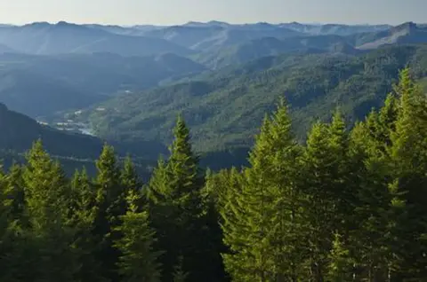 A scenic view of a forested mountain range with layers of hills under a clear sky.
