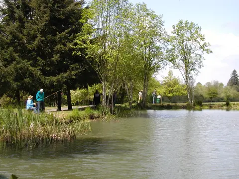 People fishing along the bank of a pond bordered by trees.
