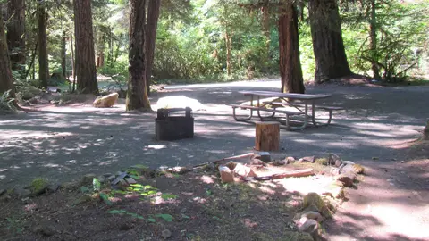 A campsite in a forest with a picnic table and fire rings.
