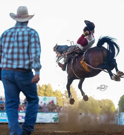 A cowboy rides a bucking horse at a rodeo.