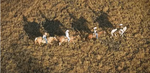 An aerial view shows people riding horses across a field.