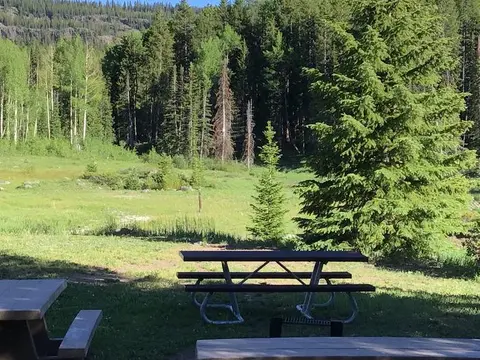 A picnic table sits in a grassy clearing with a forest in the background.