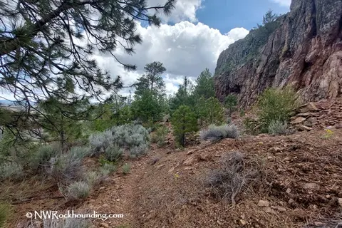 A rugged landscape with trees, rocky cliffs, and shrubs under a cloudy sky.