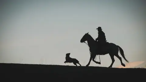 A silhouette of a person on a horse with a dog running alongside them.