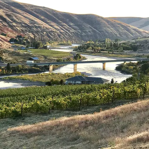A scenic view of a river winding through hills and vineyards with a bridge crossing it.