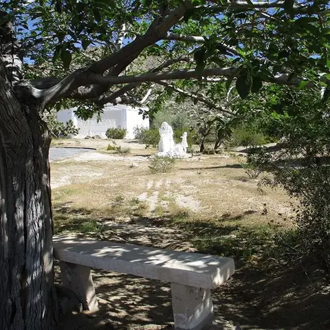 A stone bench sits beneath a large tree, facing a distant white building and outdoor statues.