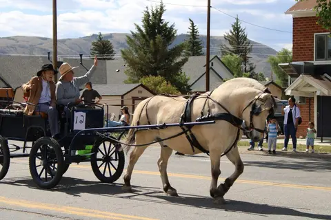 A horse pulls a carriage with people riding along a street.