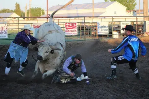 A rodeo bull is handled by bullfighters in an arena while a rider falls.