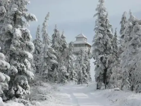 A fire lookout tower is surrounded by snow-covered trees in winter.