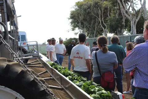 A group of people standing next to an agricultural harvesting machine with leafy vegetables in a trough.