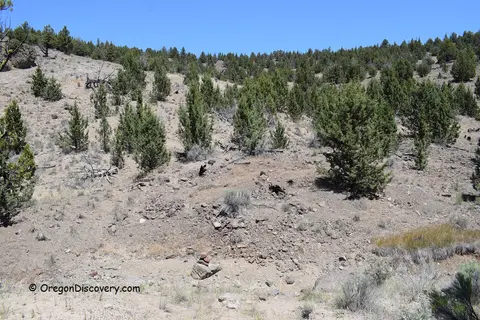 A dry hillside dotted with trees and shrubs under a clear blue sky.