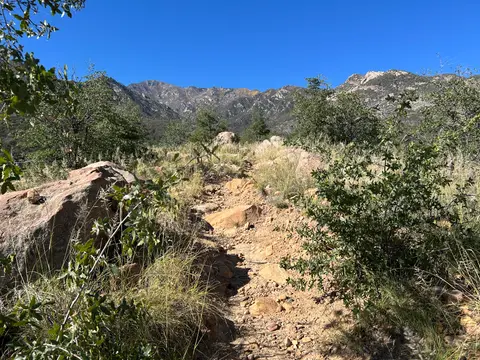 A dirt hiking trail leads up through dry brush and rocks toward mountains under a clear blue sky.