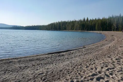 A sandy beach next to a calm lake with a forest on the opposite shore under a clear sky.