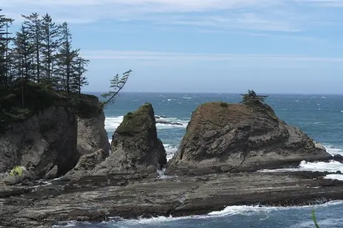 A rugged coastline with rocky outcrops and trees under a blue sky.