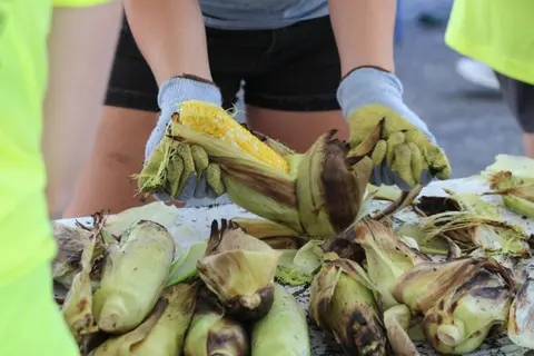 A person wearing gloves husks corn.