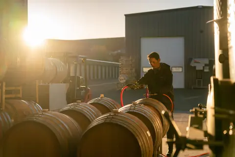 A person works with wine barrels outdoors during sunset.