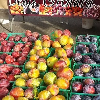 Baskets of fresh peaches and plums are displayed at an outdoor fruit stand.