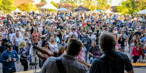 Musicians perform on a stage before a large crowd gathered outdoors.