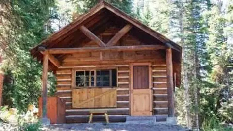 A wooden cabin surrounded by trees.