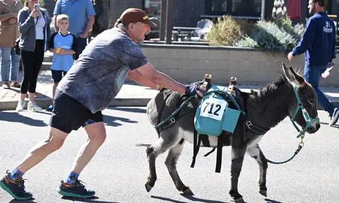 A man pushing a donkey during an outdoor event.